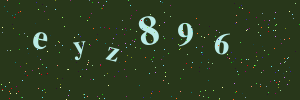 Validation image