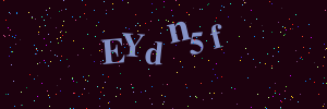 Validation image