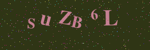 Validation image