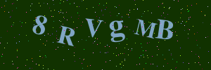 Validation image